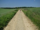 Villers-Cotterets (Aisne) - Mai 2009