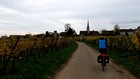 Alsace à vélo