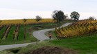 Alsace à vélo