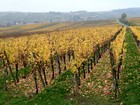 Alsace à vélo