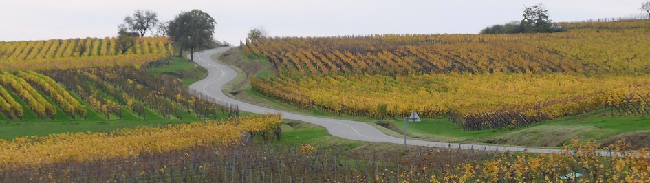 Alsace à vélo