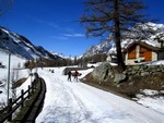 Sur les pistes de fond