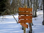 Le Crêt du Nû (1351 m)