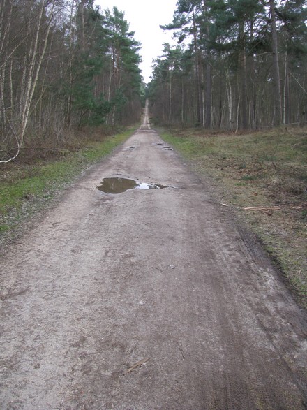 Ligne droite ascendante !