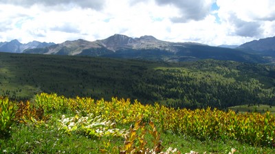 Premieres couleurs de l'automne