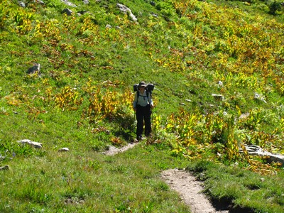 Bientot l'automne !