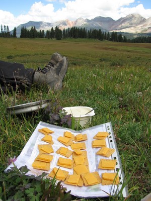 Sandwichs quotidien : crackers fromage aujourd'hui