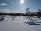 Urho Kekkonen : Suomunruoktu - Tuiskukuru