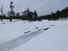 Urho Kekkonen : Sarvioja - Porttikoski