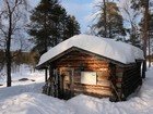 Urho Kekkonen : Sarvioja - Porttikoski