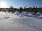 Urho Kekkonen : Lankojarvi - Kiilopää