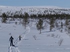 Urho Kekkonen : Lankojarvi - Kiilopää