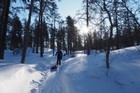 Urho Kekkonen : Suomunruoktu - Tuiskukuru