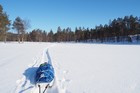 Urho Kekkonen : Porttikoski - Lankojarvi