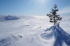 Urho Kekkonen : Lankojarvi - Kiilopää