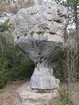 Gorges du Tarn - Causse Méjean