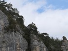 Gorges du Tarn - Causse Méjean