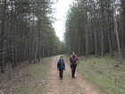 Gorges du Tarn - Causse Méjean