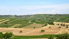 Loire à vélo : Vue des vignobles depuis Sancerre