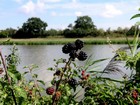 Loire à vélo