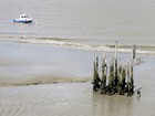 Loire à vélo : Le long de l'estuaire