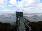 Loire à vélo : Le long de l'estuaire