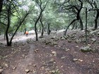 Majorque GR221
