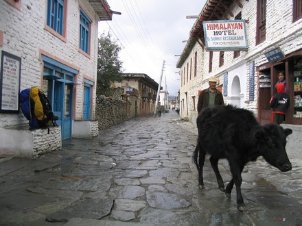 Entre Marpha et Ghasa - Halte the a Tukuche