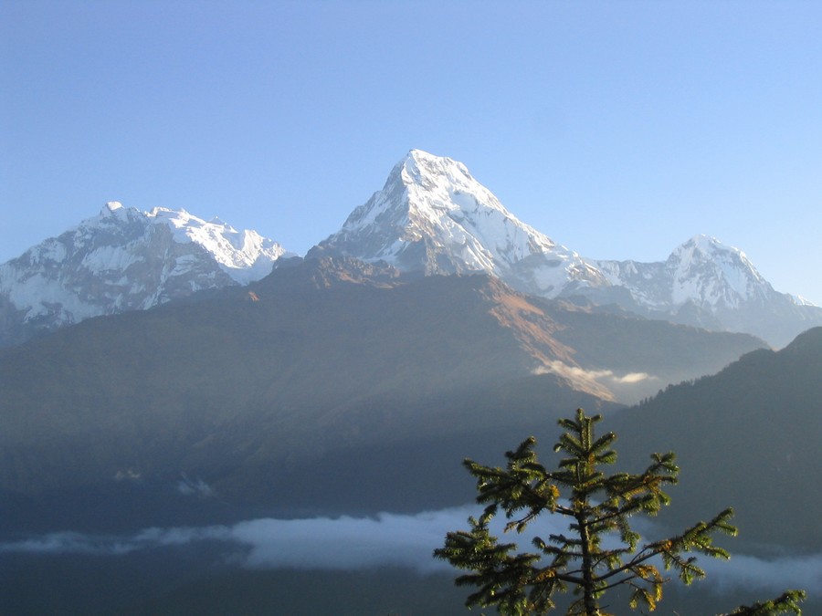 Poon Hill 3210 m - Machhapuchhare 6997 m lors de la descente de Poon Hill