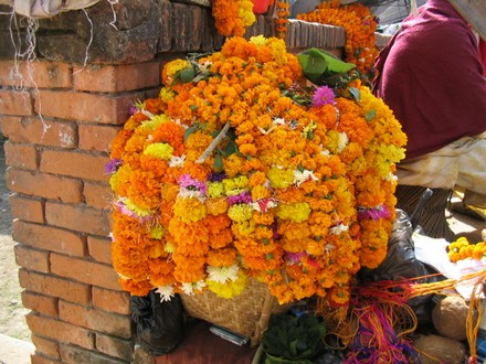 Pashupatinath - Fleurs donnees en offrande