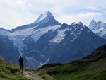 Elodie devant le Schreckhorn (4078 m)