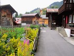 Dans Mürren