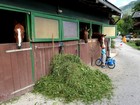 Salzkammergut - 