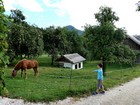 Salzkammergut