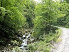 Salzkammergutradweg - Descente de Blaa Alm