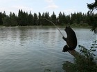 Slovénie : Lac de Bloke