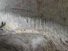 Slovénie : Grottes de Postojna