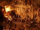 Slovénie : Grottes de Postojna