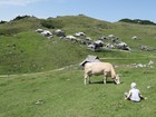 Slovénie : Velika Planina