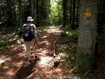 Descente dans les sous bois