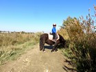 La Camargue à vélo : Balade en poney au Domaine de Méjanes 