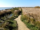 La Camargue à vélo : Balade en poney au Domaine de Méjanes