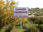 La Camargue à vélo : Draille des 5 Gorges