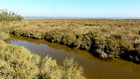 La Camargue à vélo : Draille des 5 Gorges