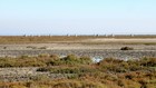 La Camargue à vélo : Draille des 5 Gorges