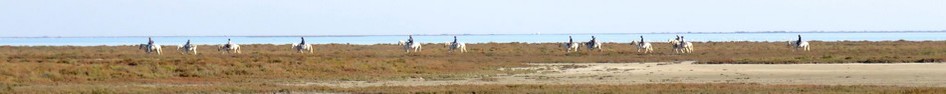 La Camargue à vélo