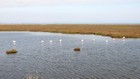 La Camargue à vélo : Digue à la Mer