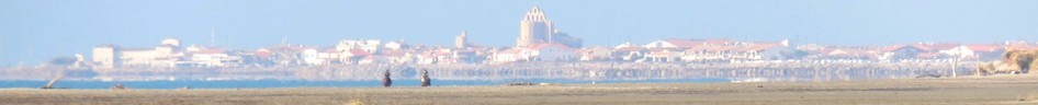 La Camargue à vélo