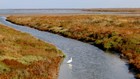 La Camargue à vélo : Digue à la Mer