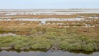 La Camargue à vélo : Digue à la Mer